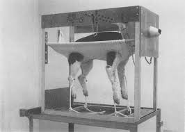 Plethysmograph_Canine_1964