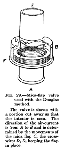 valve_mica_flap_1915